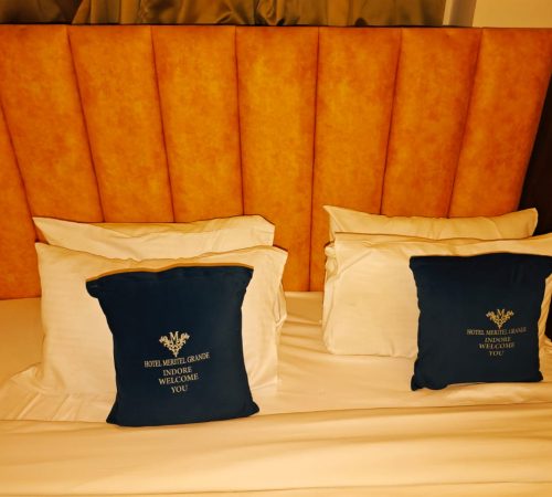 WhatsApp Image 2025-11-10 at 3.17.00 PM